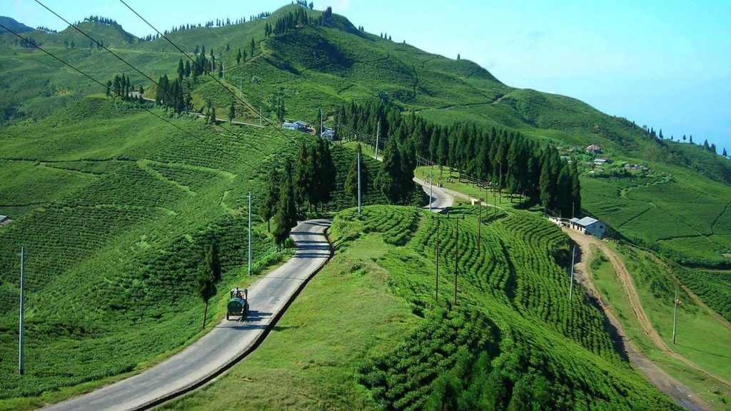 iiam-1024x576 Peaceful Dashain Destinations For Families & Friends