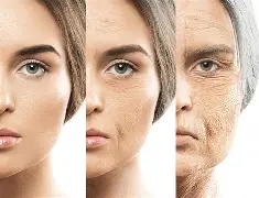 OIP मानवको उम्रिनेजन (Aging) प्रक्रियासम्बन्धी नयाँ वैज्ञानिक खोज