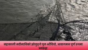महाकाली नदीमाथिको झोलुङ्गे पुल भाँचिएपछि क्षतिग्रस्त संरचना