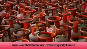 LPG Gas