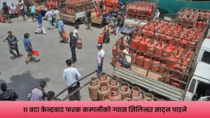 एलपी ग्यास