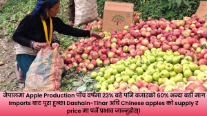 Nepal Apple Market मा बिक्रीका लागि राखिएका नेपाली र imported apples